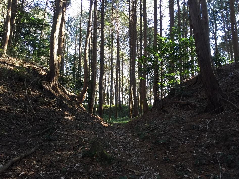 甲賀郡中惣城館