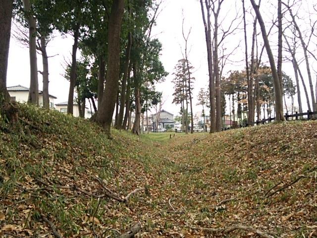 花崎城