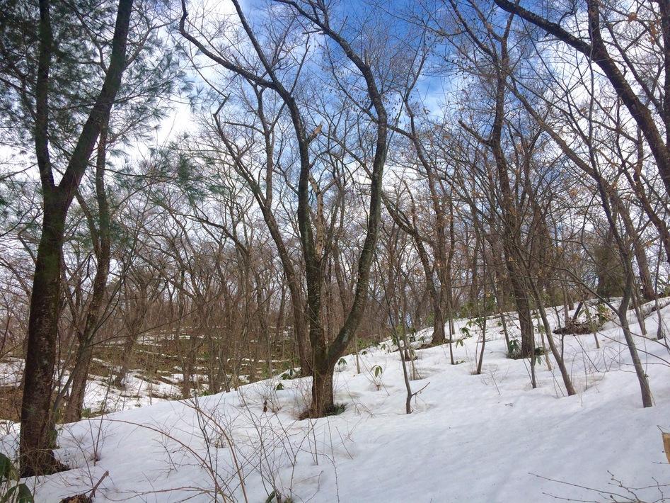 角館城