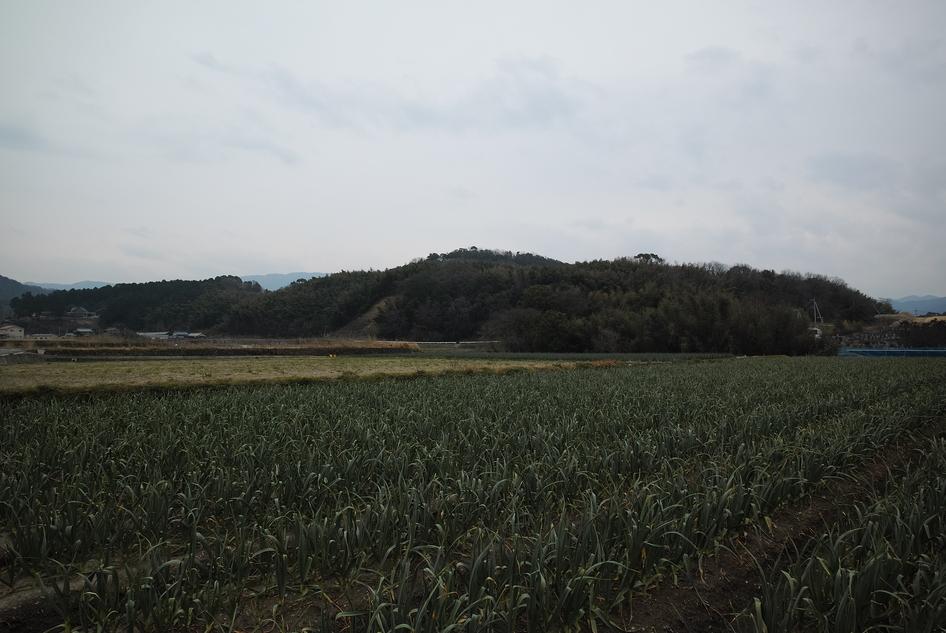 藤目城