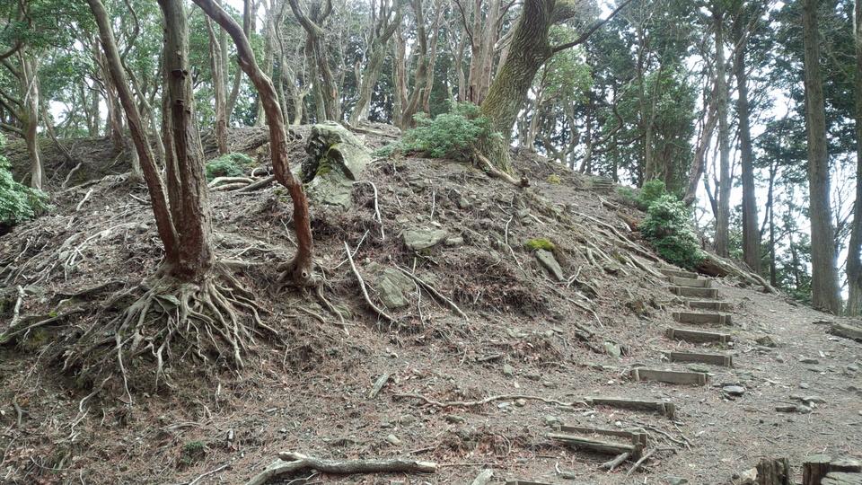 長野氏城館
