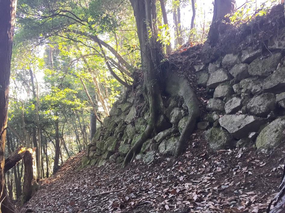 宇佐山城
