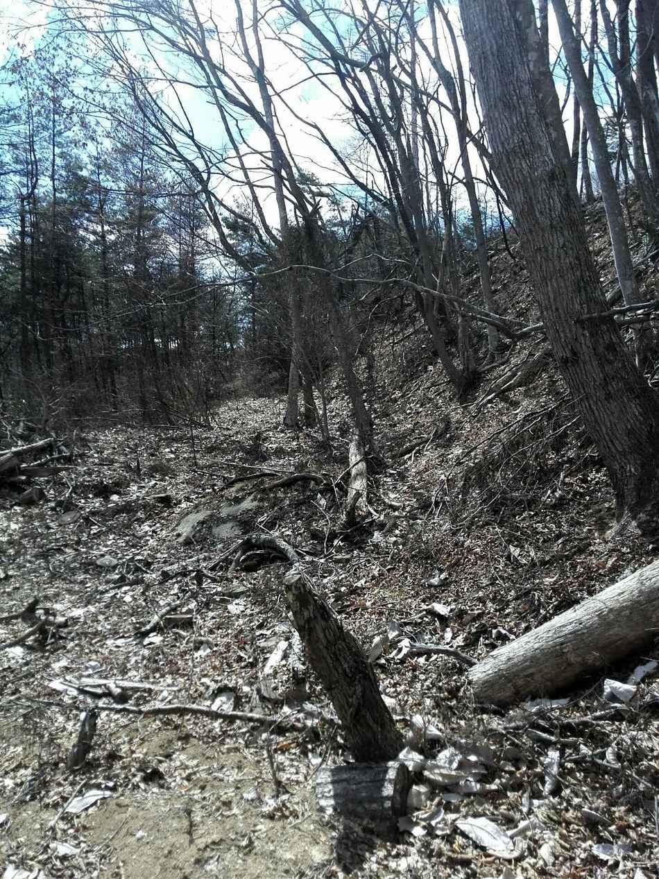 杭城