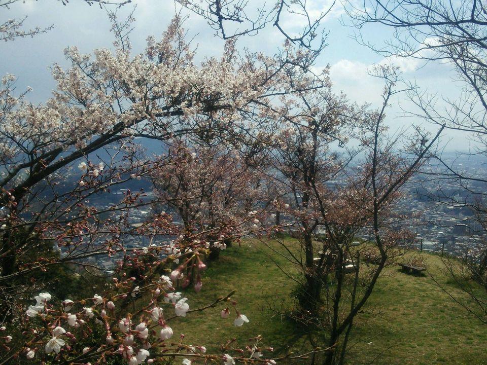 岩屋城