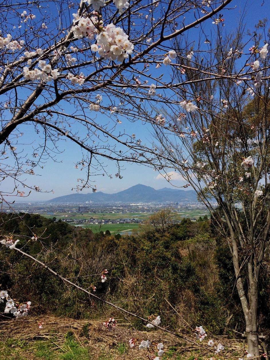 木原城