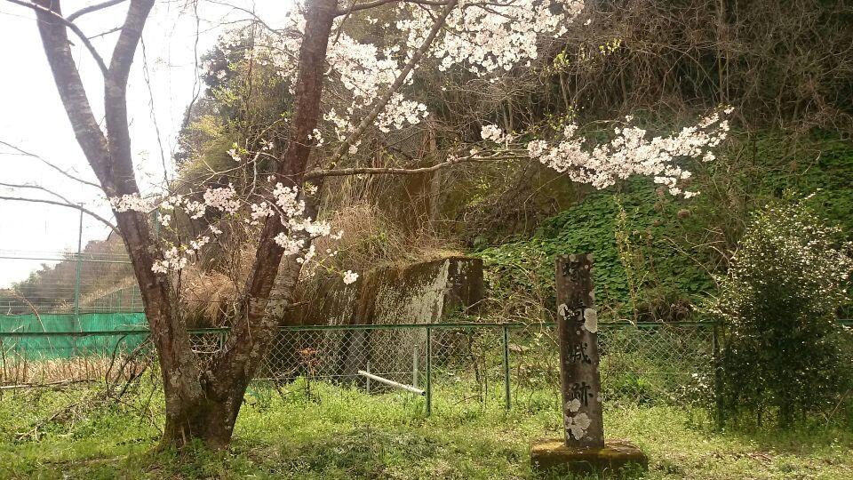 塚崎城