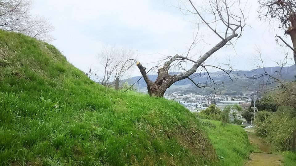 杷木神籠石