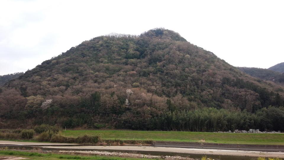 猿掛城