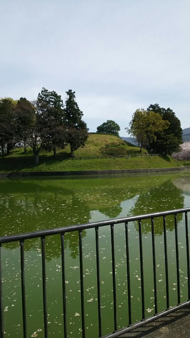 柳本城