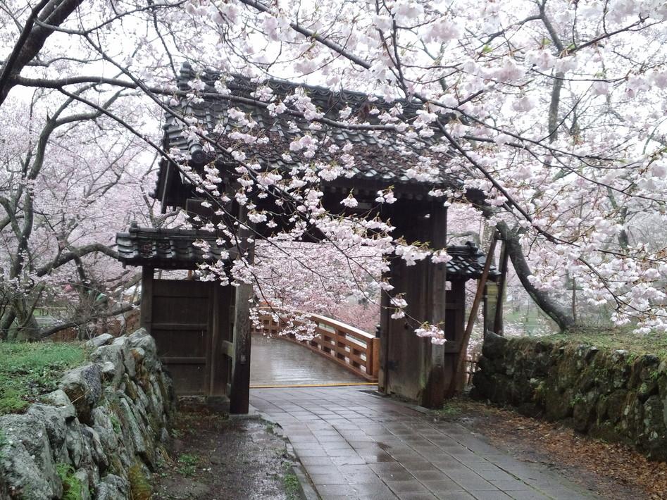 高遠城