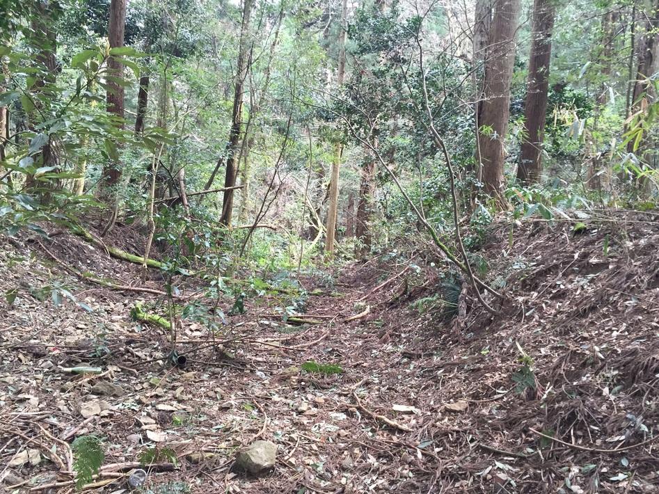 川島城