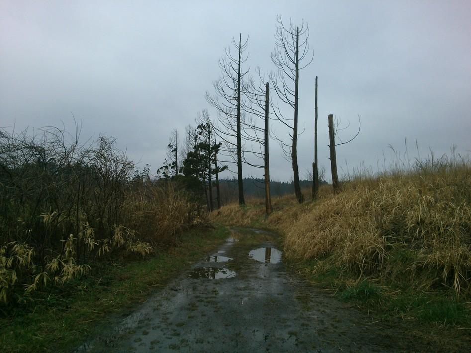 染川城