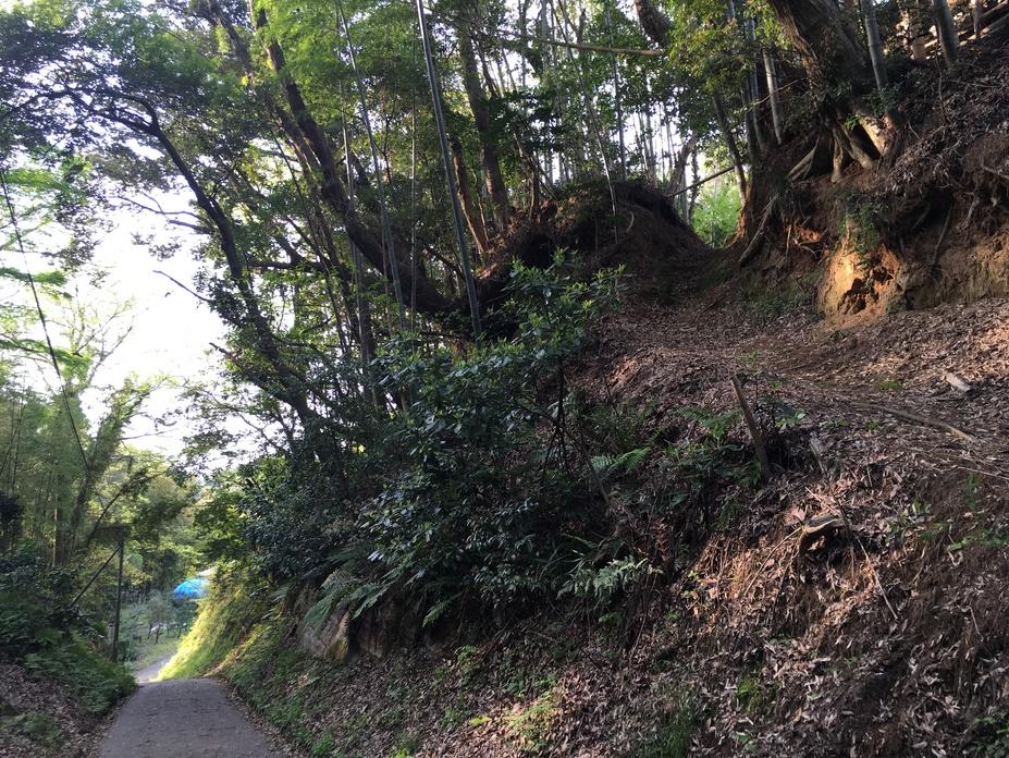 笹子城