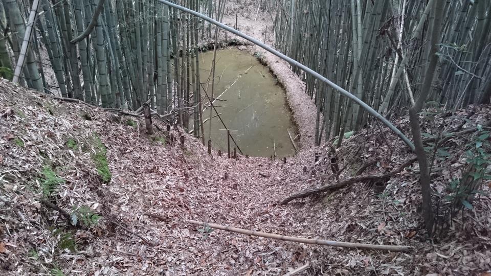 鹿背山城