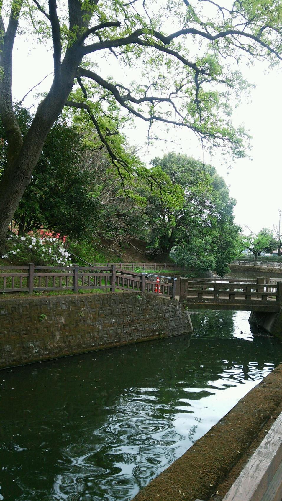 小泉城