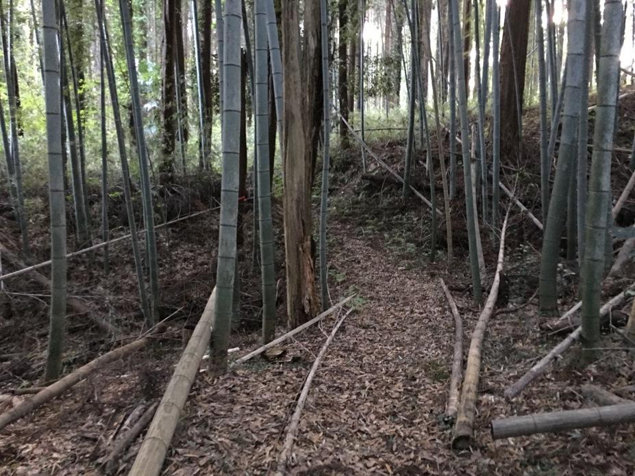 大椎城