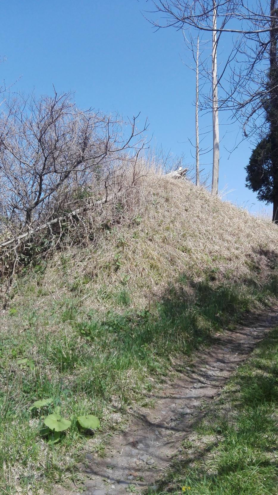 染川城