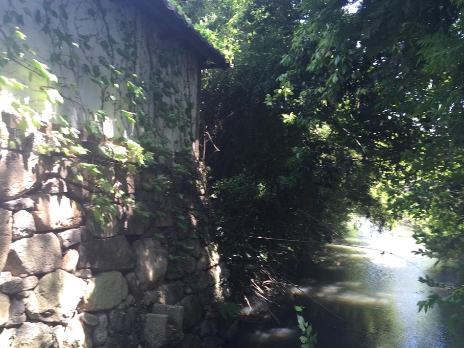 芦浦観音寺館