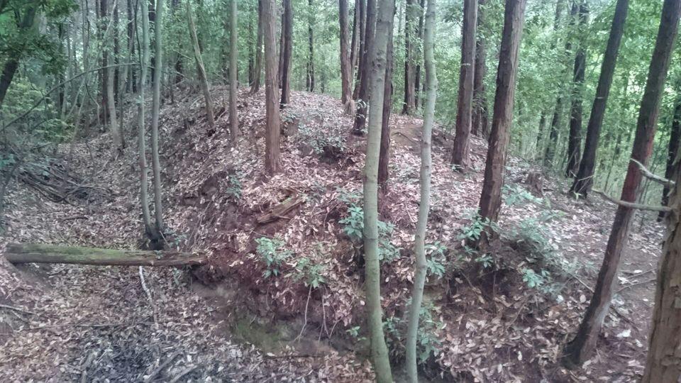 豊田城