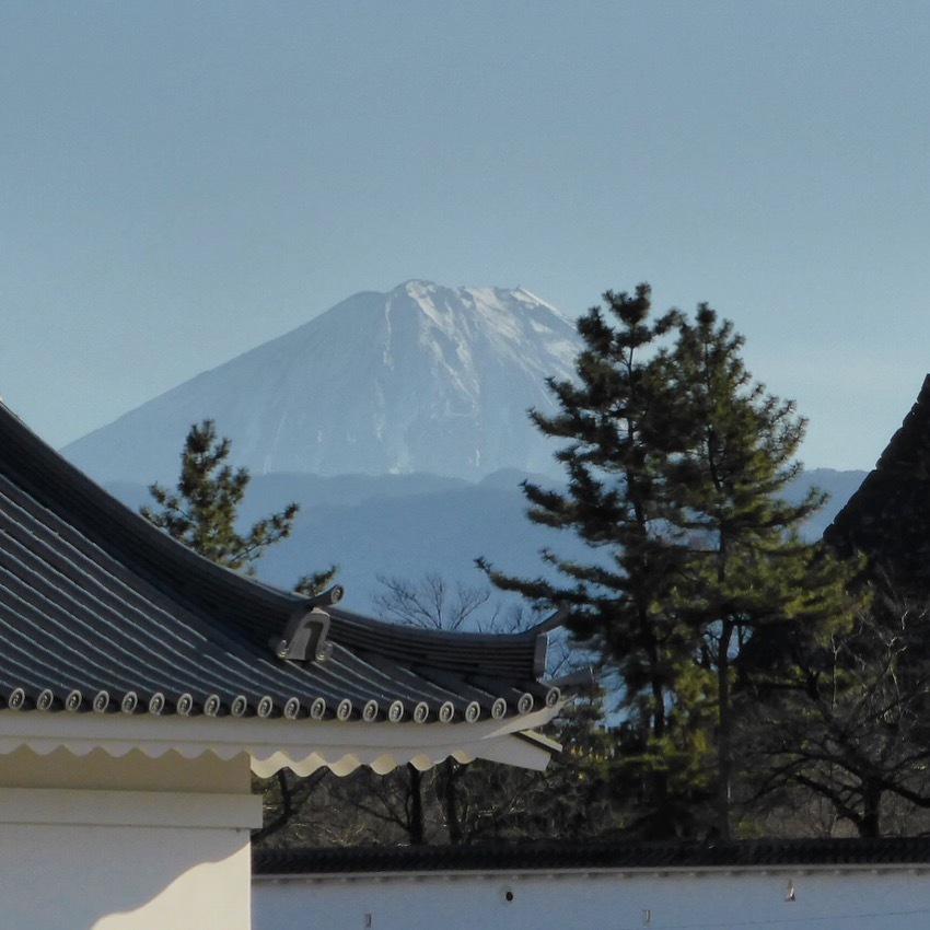 甲府城