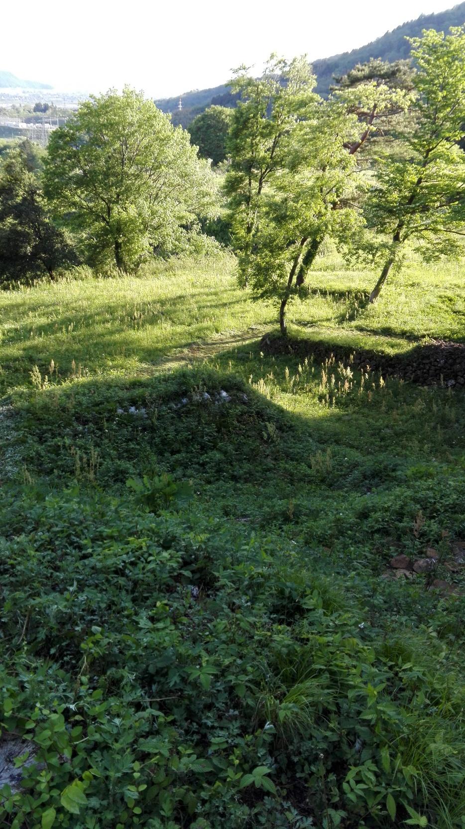 桑折西山城