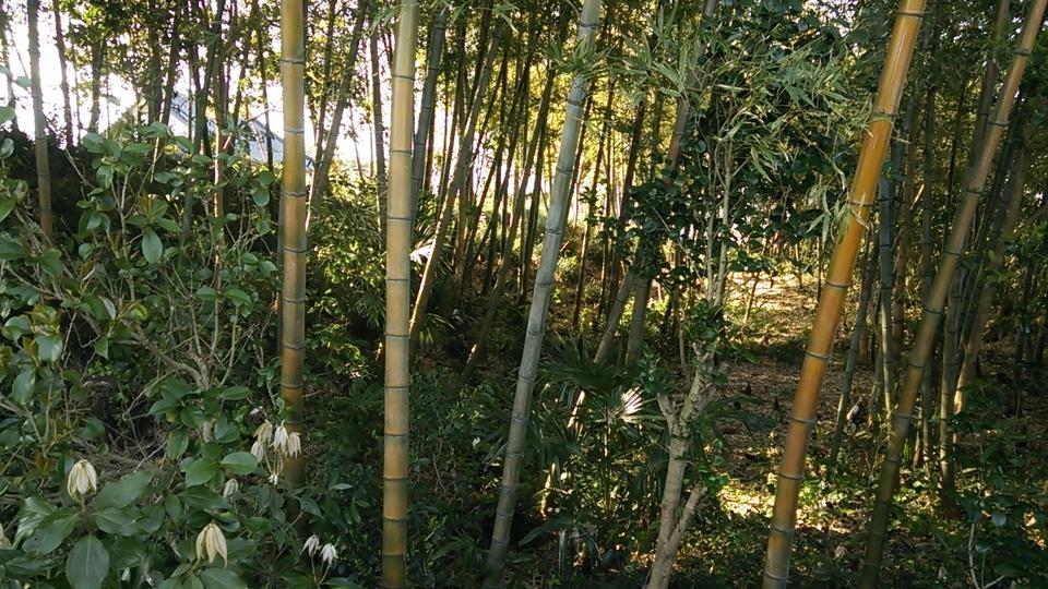 榎本城