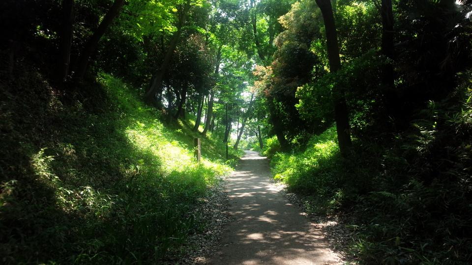 茅ケ崎城