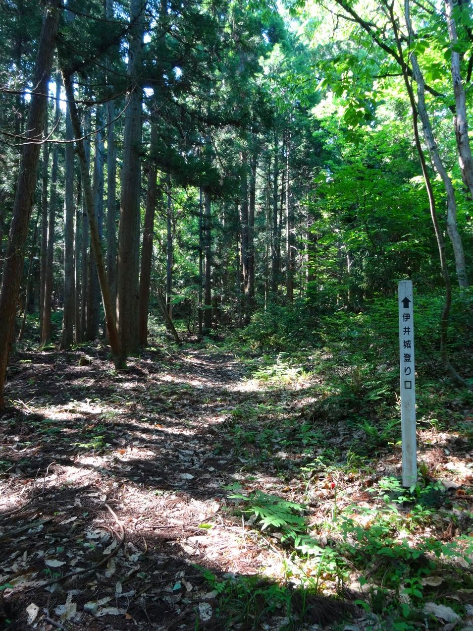 伊井城