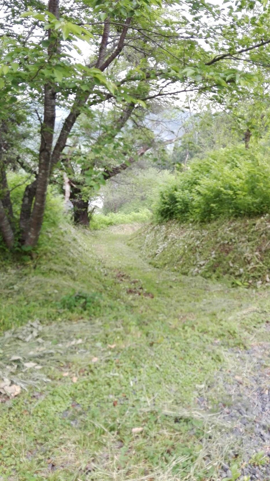 人首城