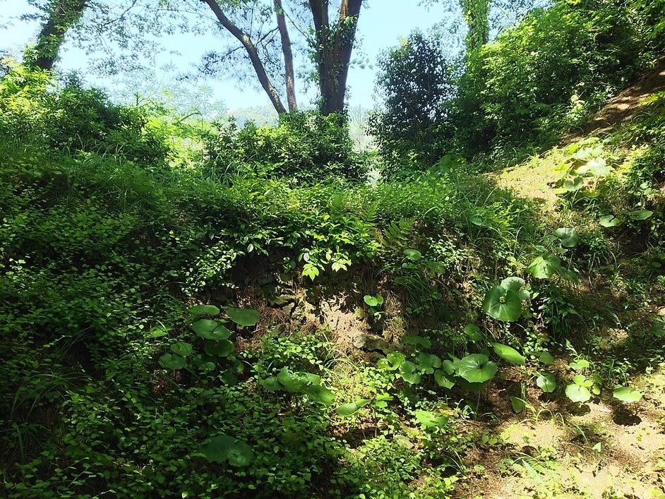 丸屋城