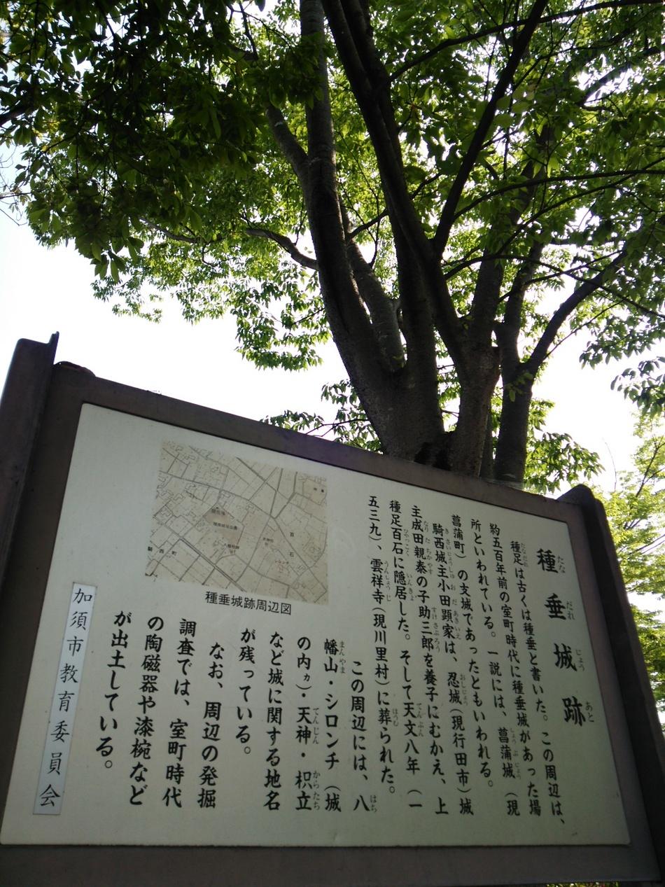 種垂城