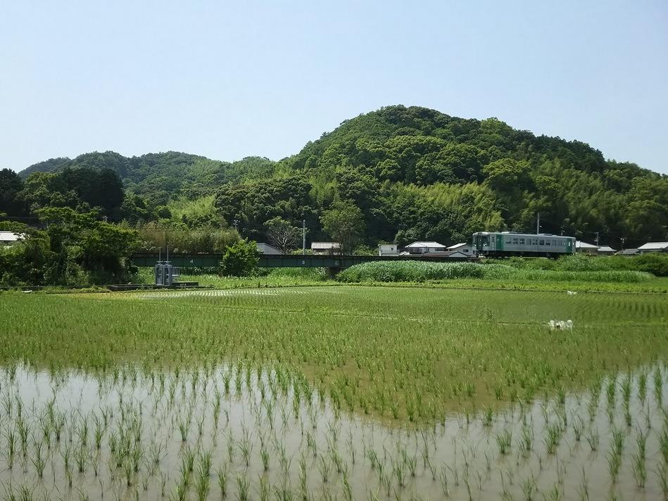 片志城