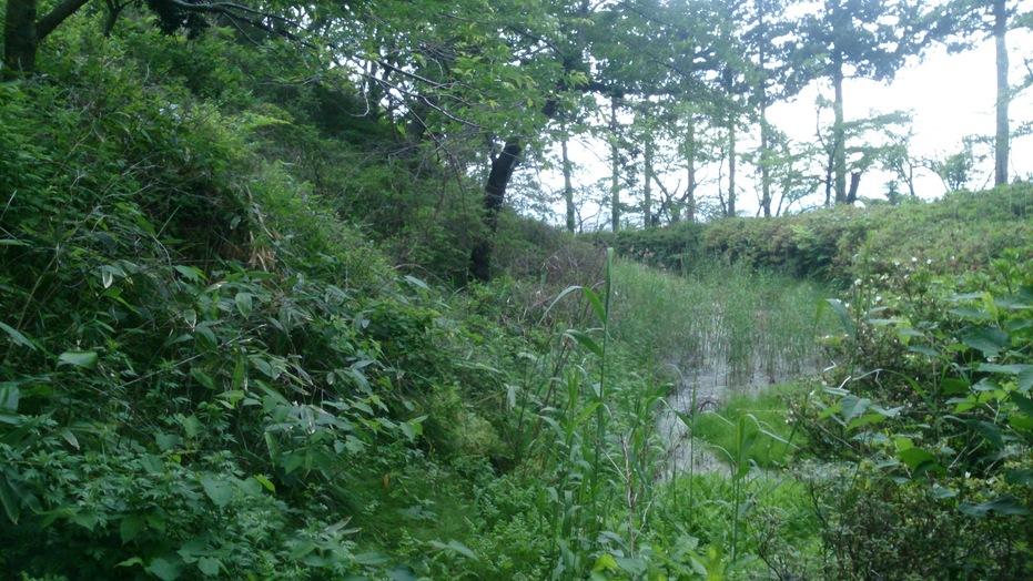 本荘城
