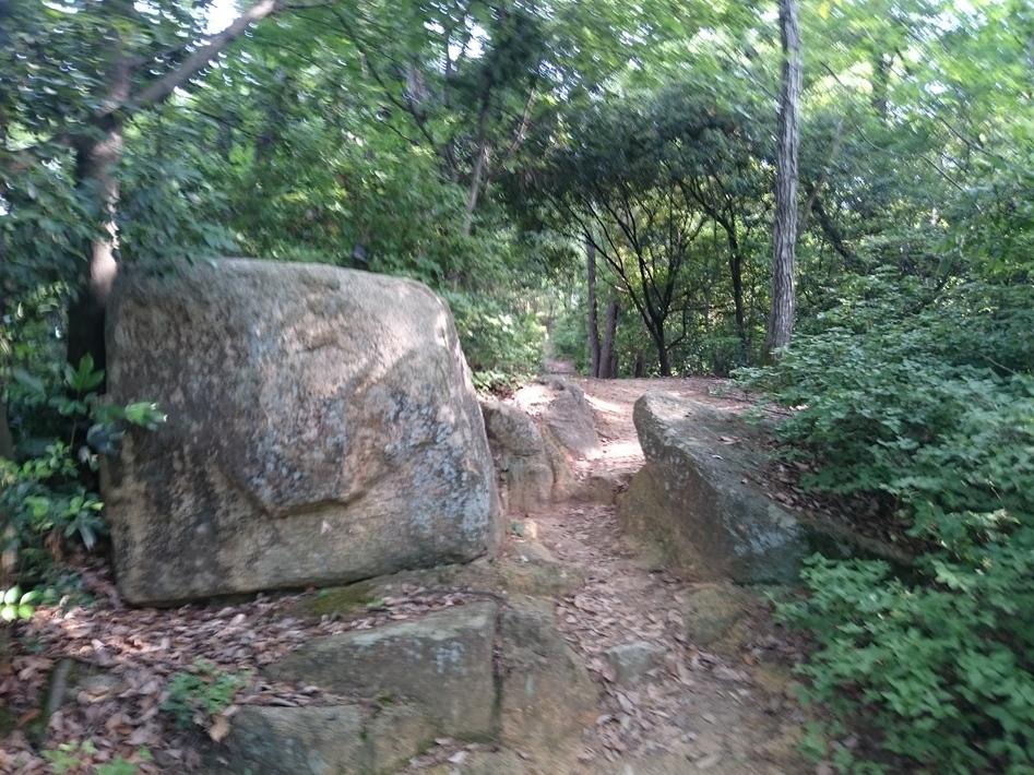 明禅寺城