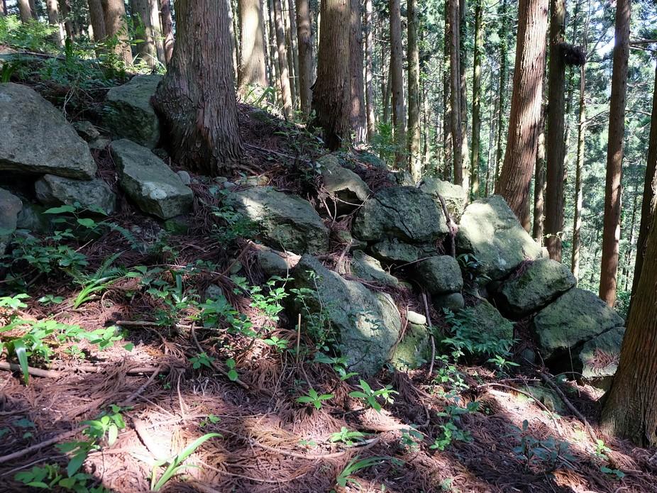 舟岡山城