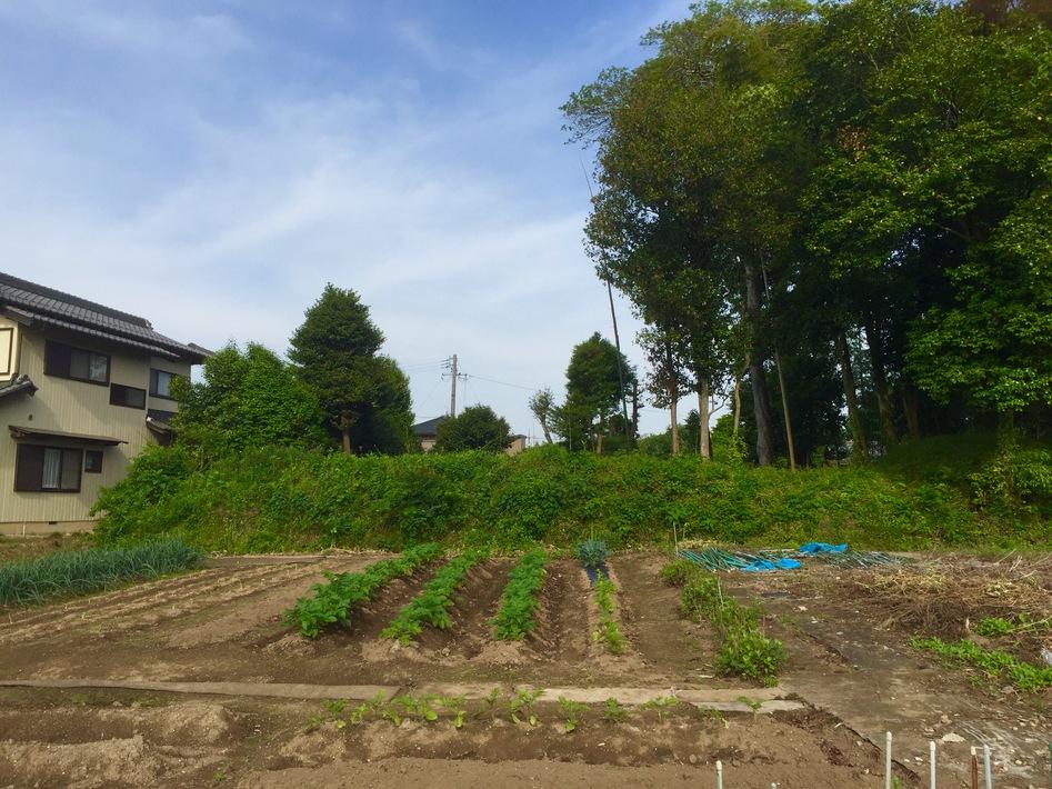 野口館
