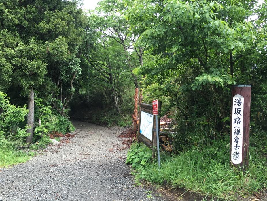 鷹の巣城