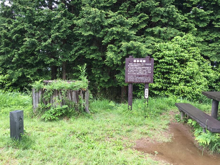 鷹の巣城