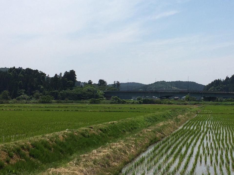 島崎城