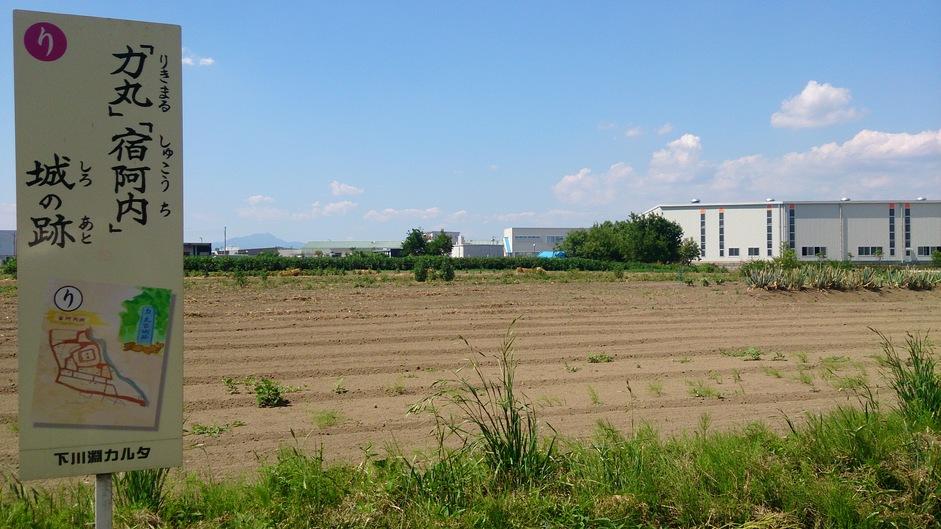 阿内城