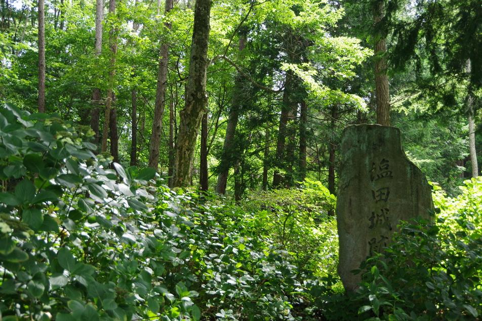 塩田城