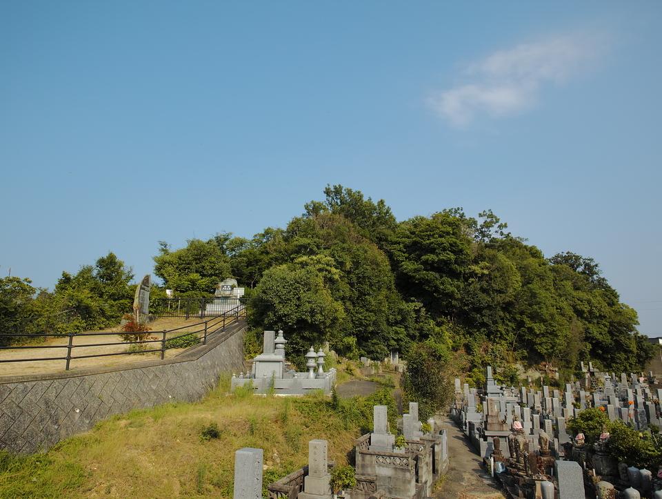 夷山城