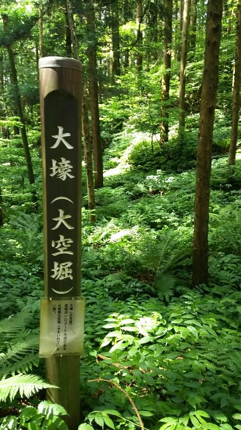 与板城