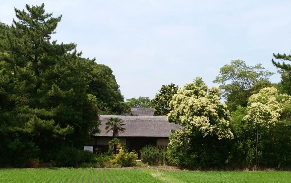 和井田氏屋敷