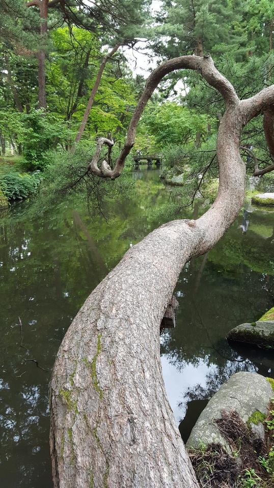 盛岡城