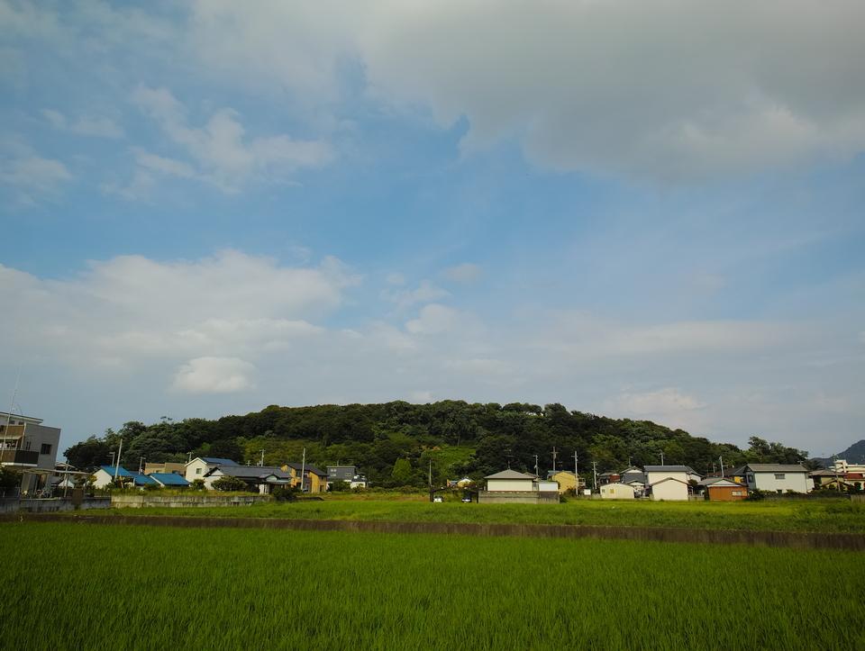 芝山城