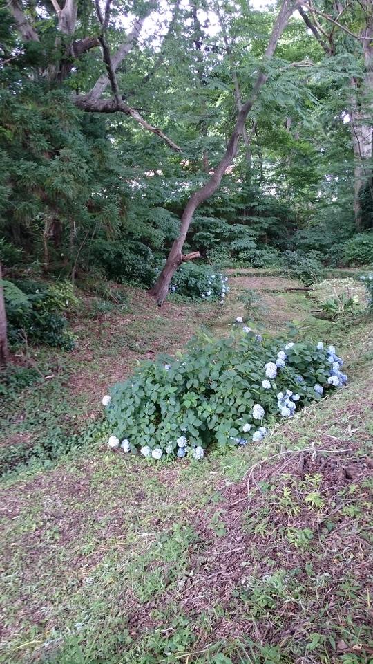 厨川柵
