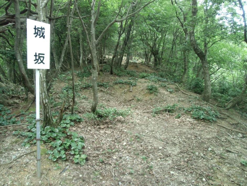 伊井城