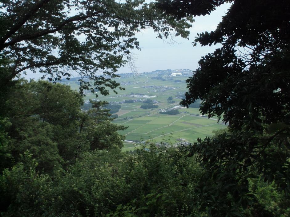 伊井城