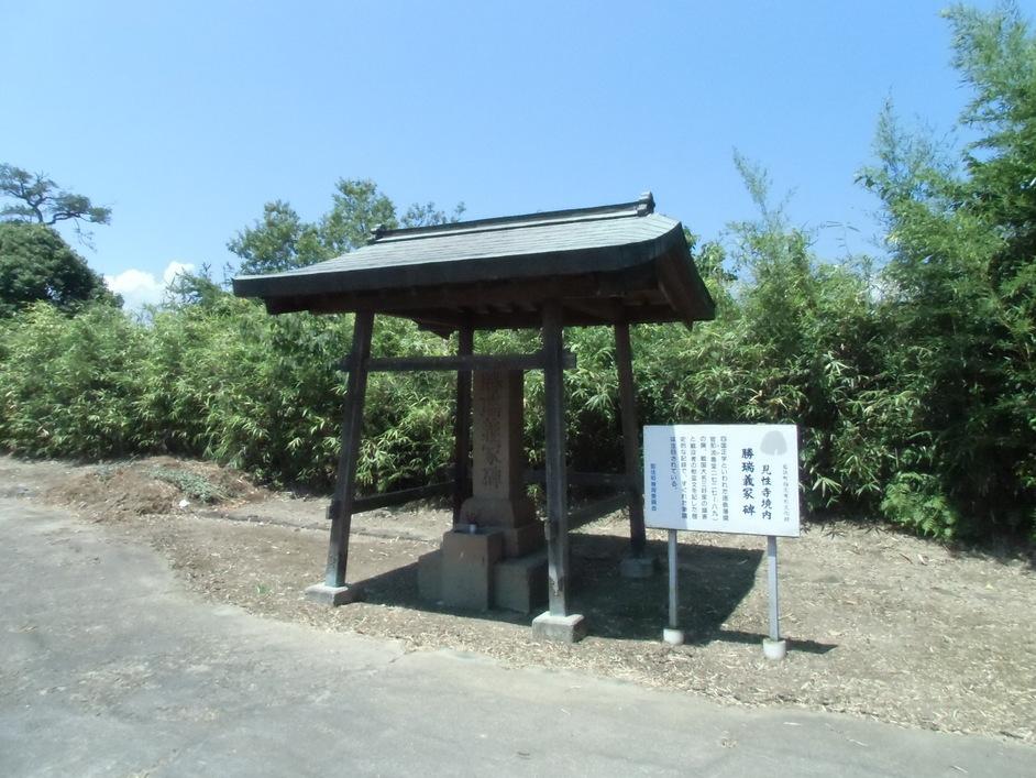 勝瑞城